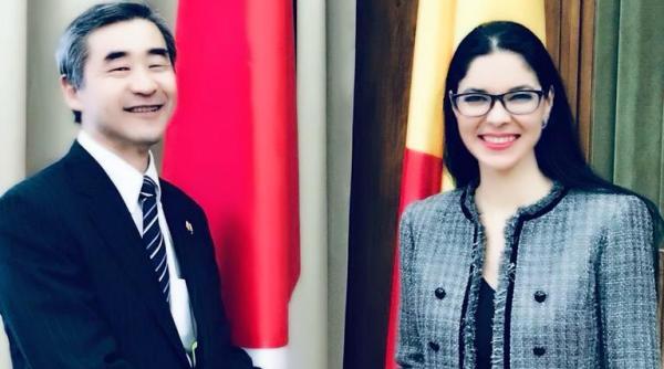 ana birchall intrevedere cu ambasadorul japoniei discutiile cheie