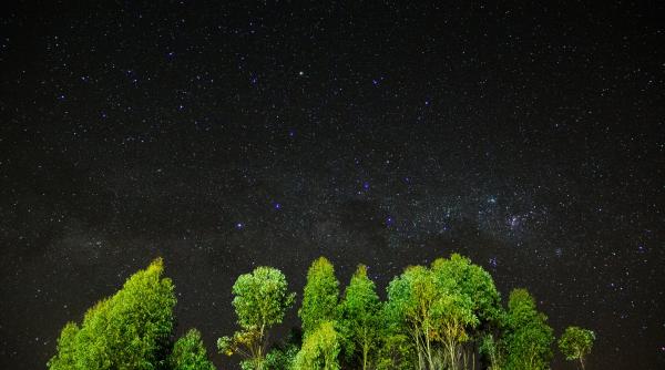 horoscop februarie astrolog cristina demetrescu previziuni pentru toate zodiile