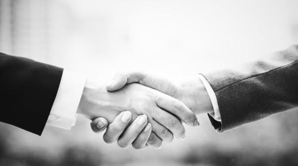 onu a proclamat anul 2020 ca anul international al sanatatii plantelor