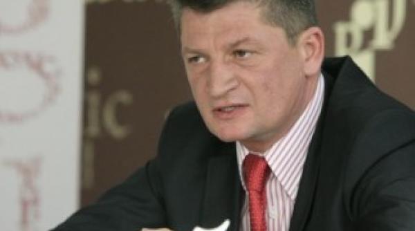 lucian dinita decizie definitiva a instantei