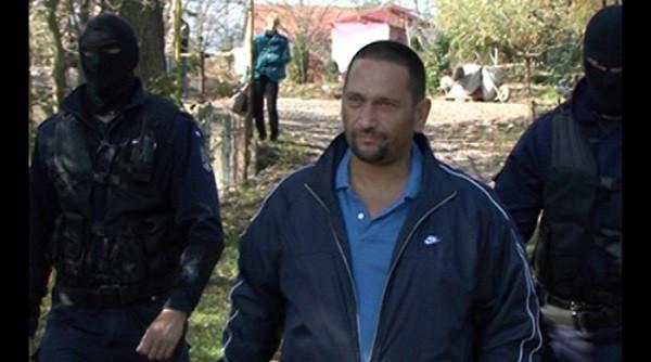 berbeceanu badea trebuie batut zilnic nu in ring pe strada