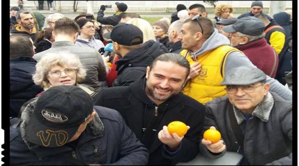 romania tara unui vis posibil cat costa cartea lui plesoianu