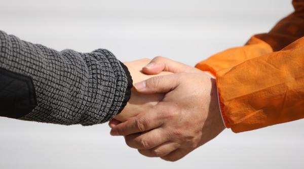 alegeri europarlamentare 2019 sondaj neamt rezultat