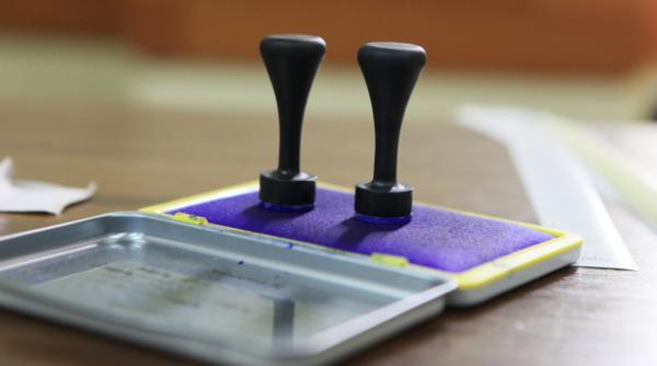 alegeri europarlamentare 2019 sondaj bistrita nasaud rezultat