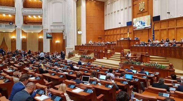 lider al camerei deputatilor povara grea pentru psd alde sunt improvizatii