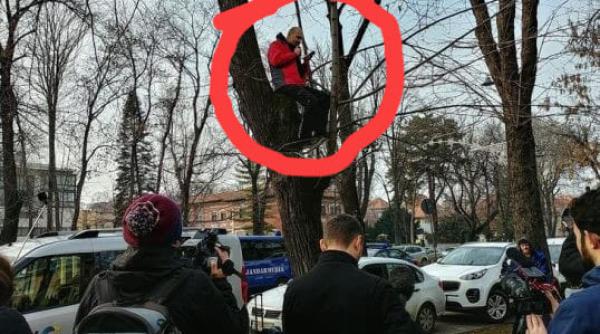 kovesi audiata dide va sparg geamurile si va vopsesc portile