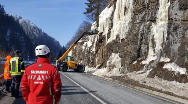 video turturi uriasi de 10 metri trafic blocat pe dn 15