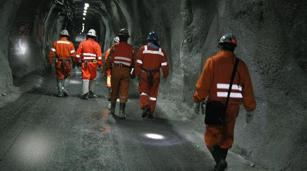 care este cel mai scump metal cum protejeaza mediul