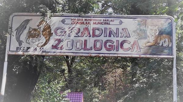 decizie dificila zoo barlad isi vinde animalele