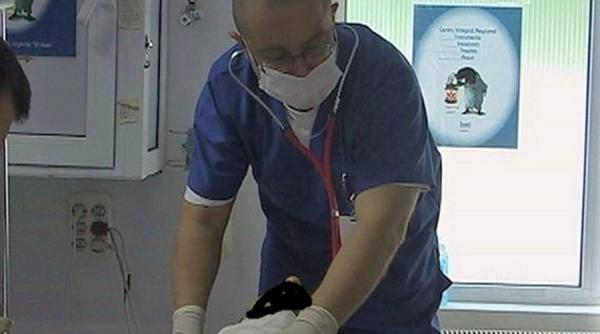 gripa face noi victime  numarul celor decedati