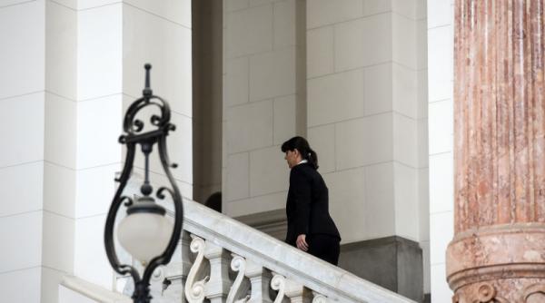 kovesi  rezidente sua oana zamfir  exista aceasta coincidenta