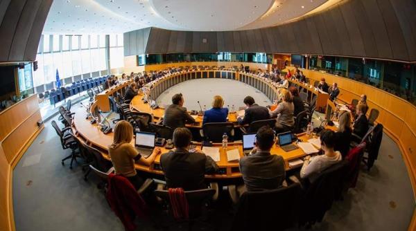 negocieri politice cu parlamentul european rovana plumb a condus discutiile