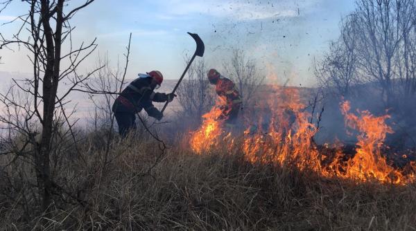 incendiu de vegetatie in delta dunarii