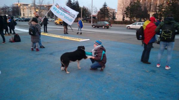 proteste in piata victoriei korpos dupa o declaratie lui chirieac cred ca glumiti