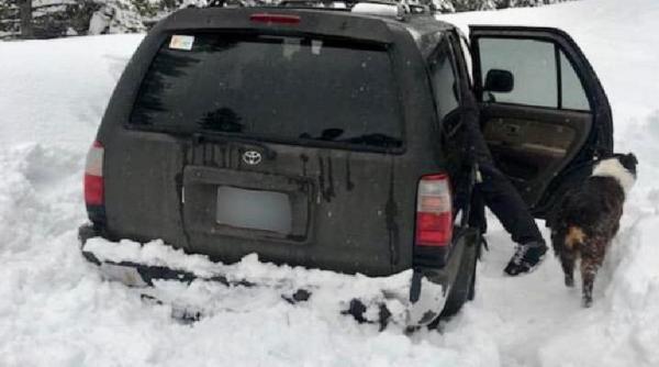 blocati in zapada un barbat si cainele sau supravietuire minune