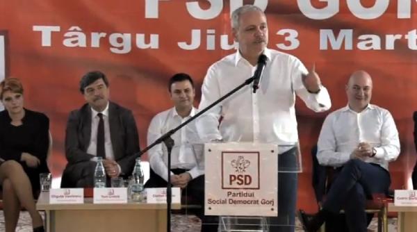 olguta vasilescu purtator de cuvant psd dragnea precizare