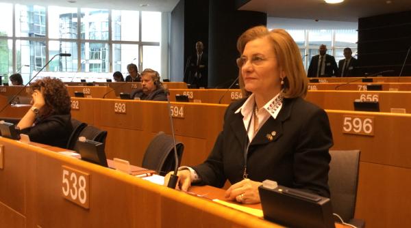 maria grapini informatii importante via bruxelles pentru imm uri