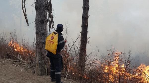 incendiu puternic 100 de pompieri au intervenit