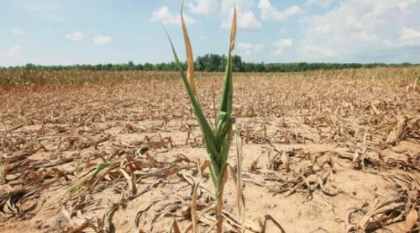 seceta anuntul facut de ministrul agriculturii