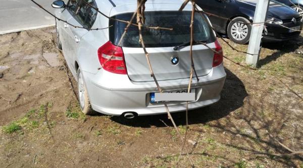 gabriel mutu  decizie impotriva soferilor care distrug spatiile verzi