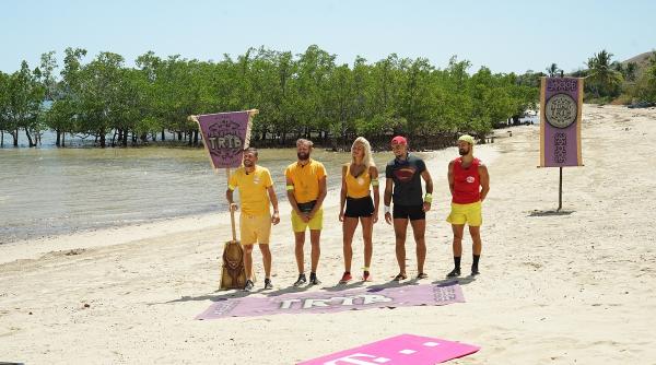 ultimul trib 15 martie sorin brotnei la capatul puterilor gata mi a ajuns