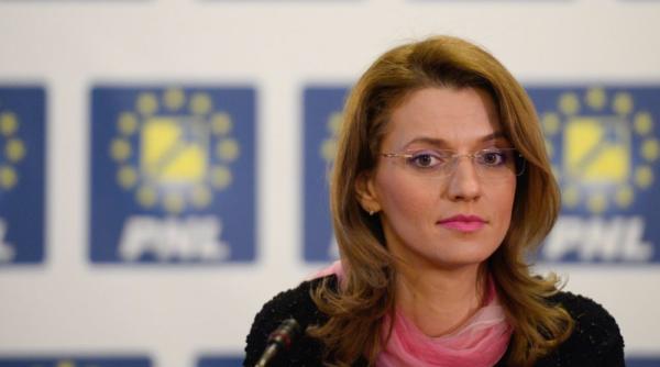 alina gorghiu referendumul pe justitie nu ar rezolva nimic