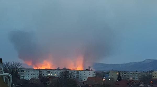 arderi miristi si vegetatie uscata  garda nationala de mediu  interventie