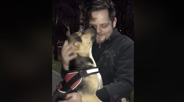 kara adoptata catelusa batuta explozie de fericire cu noul stapan video