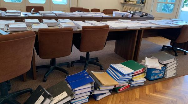 alegeri europarlamentare 2019 alde anuntul zilei foto