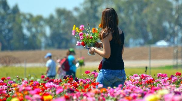 vremea in weekend  ce spun meteorologii