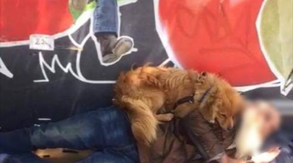 maria dumitrascu din erou a ajuns om al strazii viata i a dat lovitura peste lovitura cine este barbatul din poza