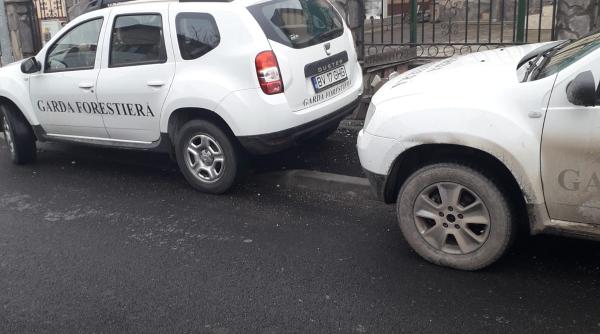 controale masive garda forestiera verifica licitatiile de taieri lemnoase