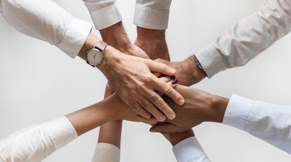 directiva copyright adoptata a fost votata in pe