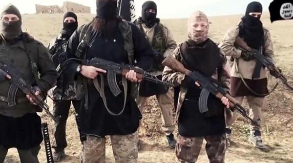 cetatenii danezi fosti luptatori isis obligati sa se intoarca acasa