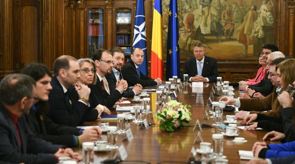 olguta vasilescu atac la iohannis consultari cu cel care mergea in chiloti la metrou