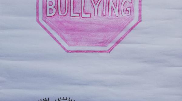 program de combatere a bullying ului in sectorul 6