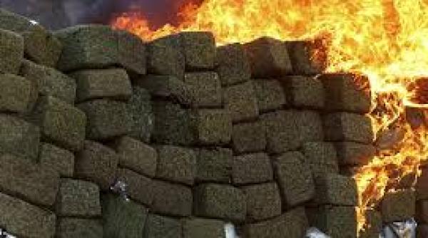 peste 100 000 de oameni condamnati anual pentru trafic de droguri