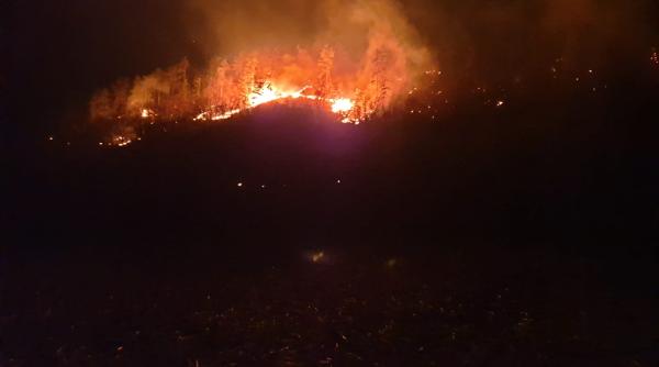 padure cuprinsa de flacari in judetul sibiu imagini din infern