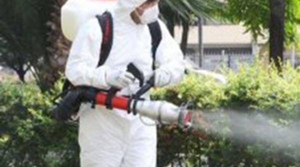 primaria capitalei incepe campania tratamentelor fitosanitare program