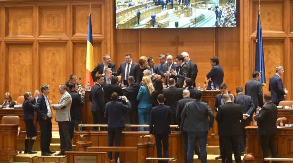 ordonanta de guvern  adoptata  vasilescu  au inteles care sunt beneficiile