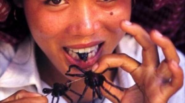 ororile culinare ale europei mai scarboase decat insectele sau viermii gatiti