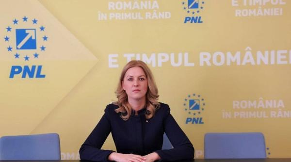 mara toganel pnl violenta domestica se pedepseste cu inchisoarea proiect legislativ in sprijinul victimelor
