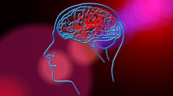 traumatisme cranio cerebrale congres academy for multidisciplinary nuerotraumatology