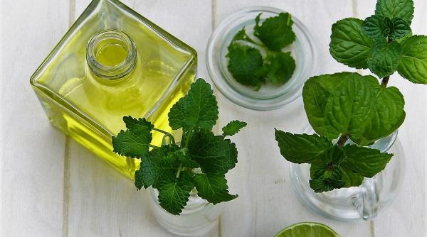 menta 10 beneficii incredibile pe care trebuie sa le cunosti