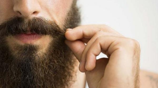 barbile barbatilor sunt mai murdare ca blana unui caine