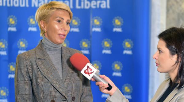 raluca turcan comisia lui iordache a votat pentru amnistia vip urilor s a reactivat brusc