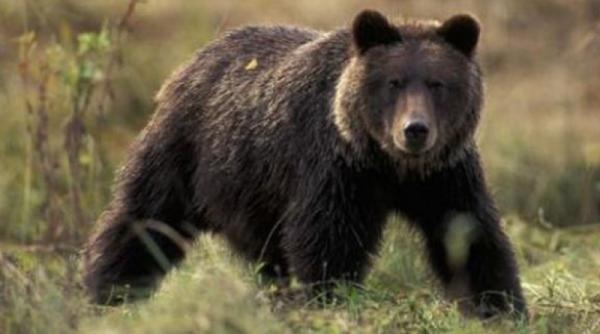 bancul zilei ateul cere ajutor divin