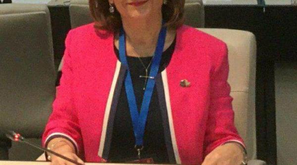 maria grapini finalizarea raportului uniunea vamala conditie pentru o calitate a consumatorilor