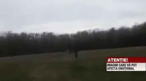 cioban calcat cu masina pe un camp din bacau