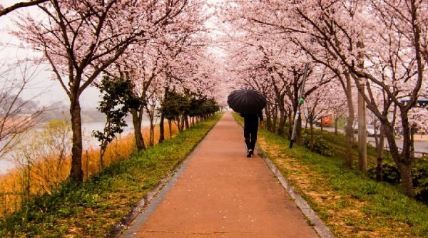 vremea de florii si paste gabriela bancila anm informatii actualizate